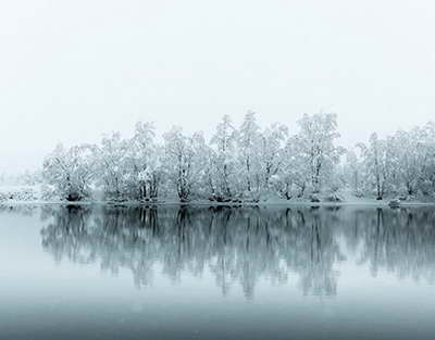 'Алаяқтық және пара алу'. Жақсылық Омар сотта кінәсін толық мойындады