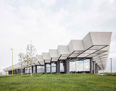 Azərbaycanda heyvanlarla rəhmsiz rəftar edənləri hansı cəza gözləyir? – Vəkil açıqladı