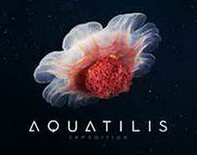 28 наурыздың тосын мінезі: өңірлерде ауа райы күрт нашарлайды